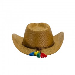 Sombrero Cowboy de celulosa...